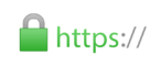 HTML5 Icon